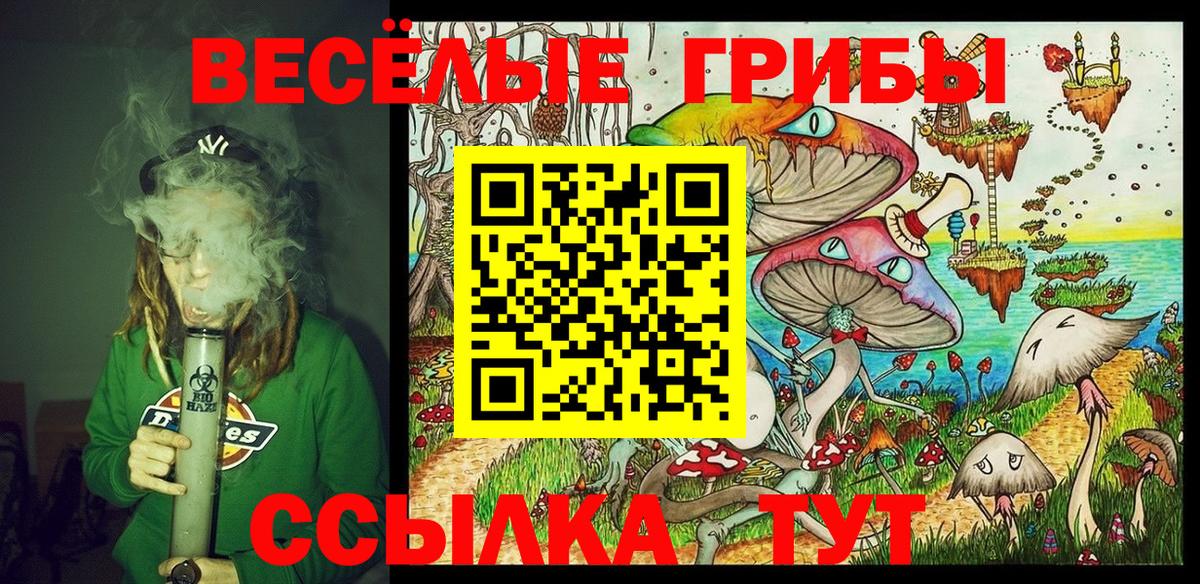 Галлюциногенные грибы GOLDEN TEACHER  Вход с VPN  Кимры 